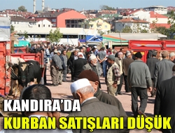 Kurban Bayramına sayılı günler kala Kandıra kapalı Pazar yerinin arkasındaki