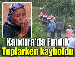 Kandıra'da fındık toplamak için evinden çıkan ve haber alınamayan yaşlı