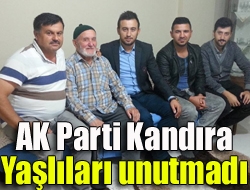 AK Parti Kandıra Kadın Kol