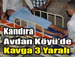 Kandırada önceki gece yine bir kavga olayı yaşandı. Gençlerden oluşan