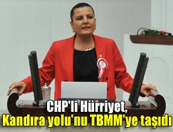 CHP Kocaeli Milletvekili Fatma Kaplan Hürriyet, ismi sık sık cinayet