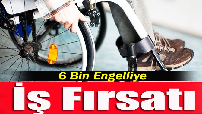 Çalışma ve Sosyal Güvenlik Bakanı Süleyman Soylu, 6 bin 113