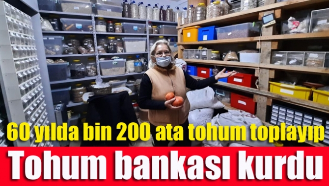 Kandıra'da, emekli öğretmen Nardene Kuşçu (66), 60 yılda bin 200