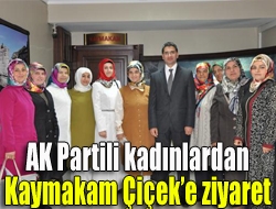 AK Parti Kandıra İlçe Kadın Kolları, ilçedeki görevine yeni başlayan