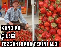 Kandıra Çileği tezgâhlarda yerini aldı Yaz aylarının gelmesiyle birlikte yazın vazgeçilmezlerinden olan çilek tezgâhlardaki yerini