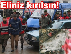 Doğa Koruma ve Milli Parklar Genel Müdürlüğü tarafından Kandırada doğaya