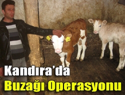 Kandıra Orhan Mahallesi Ağva Caddesi üzerinde Adil Küçükciciye ait ahırdan