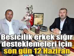 Kocaeli Kırmızı Et Üreticileri Birliği Başkanı Ahmet Balık, bakanlığın kesilen
