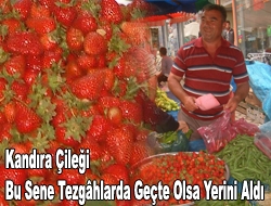 Bu yıl havaların yağışlı gitmesiyle birlikte tezgâhlarda yerini geçte olsa