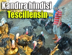 Yaklaşan yılbaşı günü sofraların vazgeçilmezi olan hindileri temizlemek için hummalı