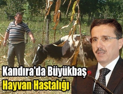 Kocaeli Valiliğince, Kandıra'ya bağlı Beylerbeyi Köyü'nde ''Yanıkara'' hastalığı nedeniyle 30