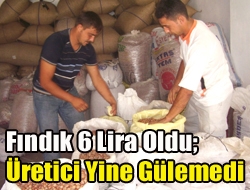 Kandırada merakla beklenen fındık fiyatı nihayet belli oldu. Üretici fındığını