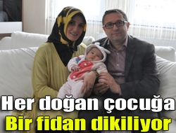 Kandıra'da her doğan çocuk için dikilen fidanlar bir süre sonra