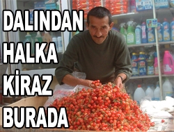 Dalından Halka Kiraz burada Kandıra Balaban Kocaoğlu köyünde ikamet eden 63 yaşındaki Mehmet Aksoy