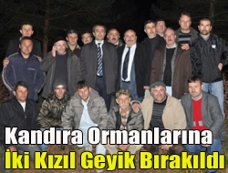 Kandıranın Sarısu ve Seyrek bölgesindeki orman alanları içinde bulunan 