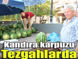 Yazın en serinletici meyvelerinden olan ve lezzetiyle ün kazanan Kandıra