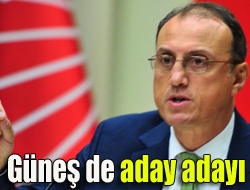 7 Haziranda CHP Genel Merkezi tarafından aday gösterilmeyen Prof. Dr.