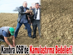 Kandıra OSB üzerindeki arazilerin ortalama fiyatları, Ankara Üniversitesi Fen Bilimleri
