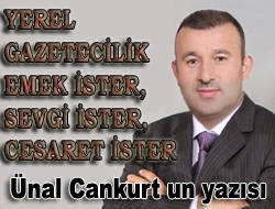 Ulusal basın temsilcisi olarak yıllarca görev yaptım. Milliyet, İhlas Haber