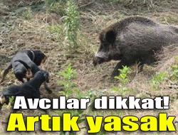 Yarından itibaren domuz ve çulluk avında yasak dönemi başlıyor. 22