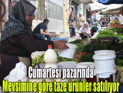 Kandıra Aydınlık mahallesi  Türkocağı caddesi üzerine kurulan Cumartesi 