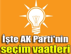 AK Parti Genel Başkanı ve Başbakan Ahmet Davutoğlu AK Parti