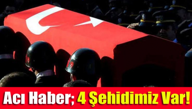 Milli Savunma Bakanlığından (MSB), Barış Pınarı Harekat Bölgesi'nde 4 askerin