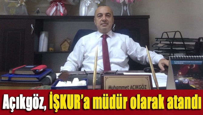 Muhammet Açıkgöz, Kocaeli Çalışma ve İş Kurumu İl Müdür Yardımcısı