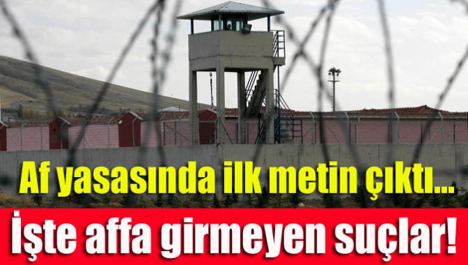 Af yasası ile ilgili taslak metinde infaz düzenlemesi kapsamına alınmayacak