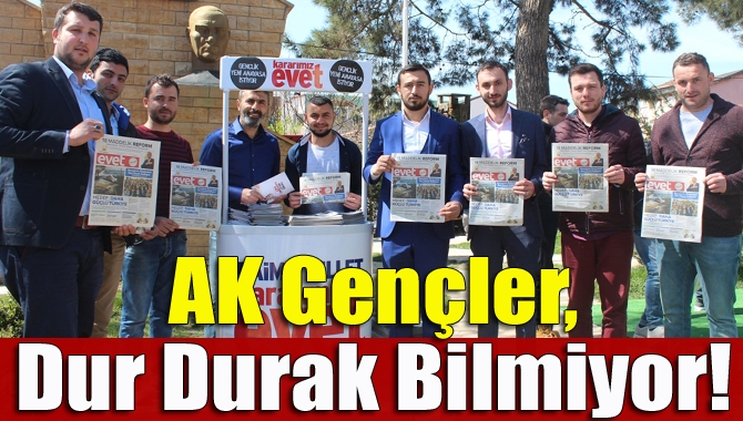 AK Parti Kandıra İlçe Gençlik Kolları, referandum seçimleri için dur