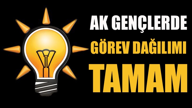 AK Parti İl Gençlik Kolları'nda görev dağılımı yapıldı. Gençlerin kongresinde