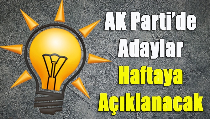 AK Parti Genel Başkan Yardımcısı Mehmet Özhaseki, yerel seçim adaylarını