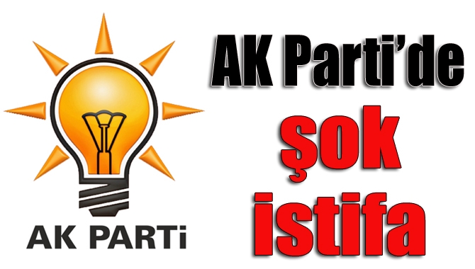AK Parti Kandıra İlçe Kadın Kolları Başkanı Nilüfer Çelik, görevinden