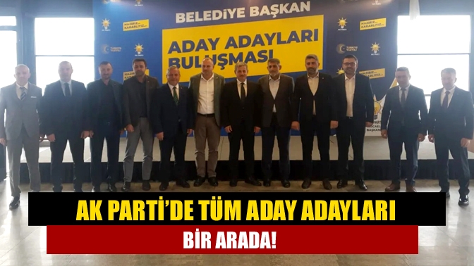 AK Parti Kocaeli İl Başkanı Talus, 31 Mart Yerel Seçimleri