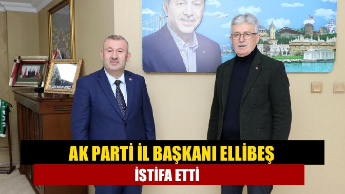 AK Parti İl Başkanı Mehmet Ellibeş, milletvekili aday adaylığı için