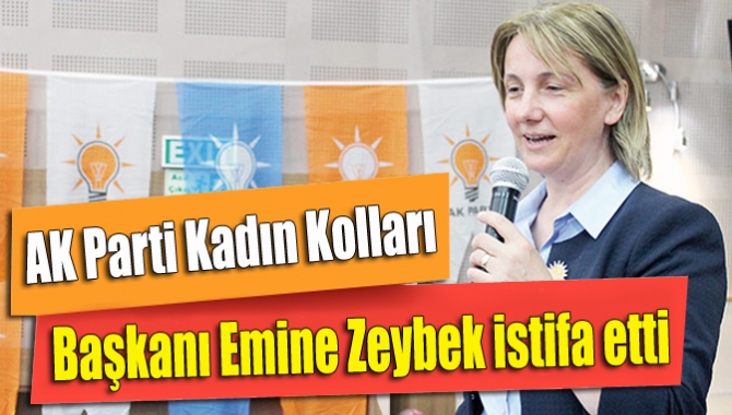 14 Mart 2015 tarihinde düzenlenen AK Parti İl Kadın Kollarının