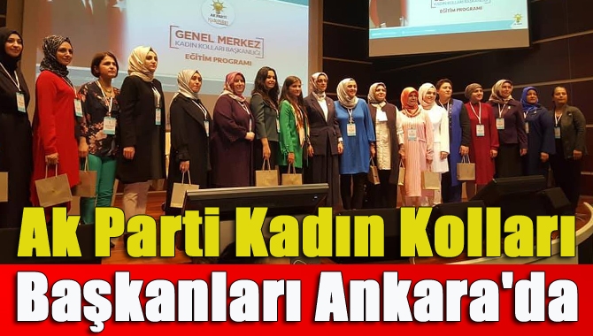 Kocaeli İl Kadın Kolları Başkanı Serpil Yılmaz, tüm ilçe kadın