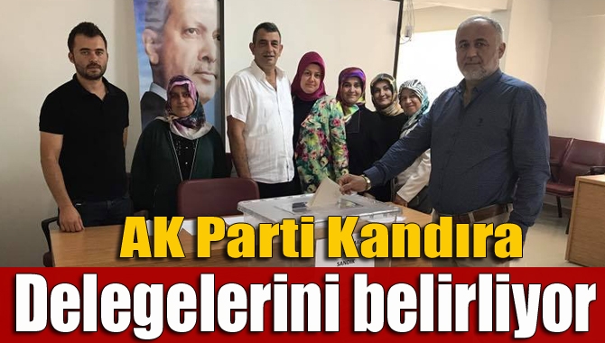 AK Parti Kandıra’daki delege seçimleri için oy verme işlemi devam