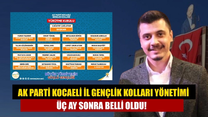 AK Parti İl Gençlik Kolları Başkanı Çağatay Çağlayan, temmuz ayında