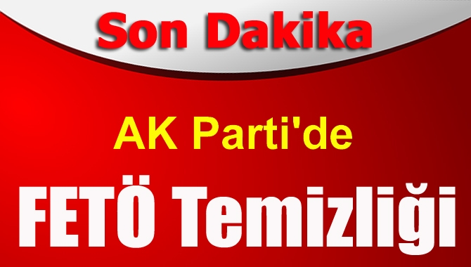 17-25 Aralık sonrası partideki paralel yapıyı büyük oranda ayıklayan AK