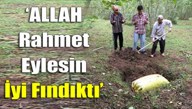 Düşük fındık fiyatlarına isyan eden üreticiler yetkililere sesini duyurmak için