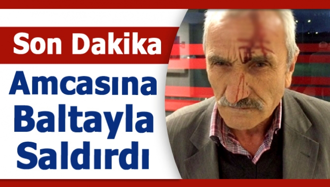 Kandıra Merkez Erikli Belenköy Mahallesinde ağaçtan erik alma kavgası kanla