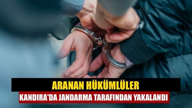 Kocaeli İl Jandarma Komutanlığı'na bağlı ekipler arafından, Kandıra İlçesi Babalı