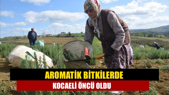Kocaeli'de katma değeri yüksek tıbbi ve aromatik bitki üreticiliğini teşvik