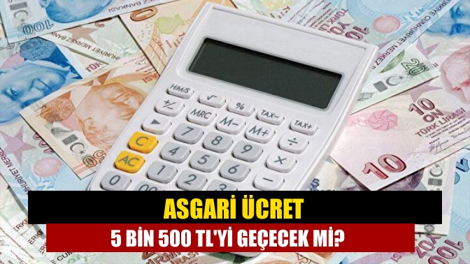 Temmuz'da memur ve emeklilerin alacakları zam oranları belli olurken, asgari