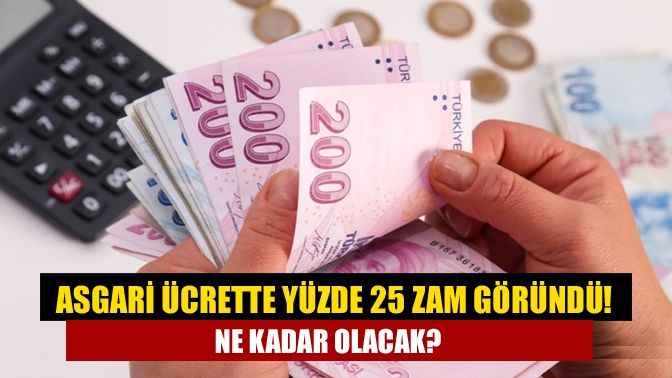 Milyonlarca çalışan asgari ücret zammını heyecanla bekliyor. Aralık ayında başlayacak