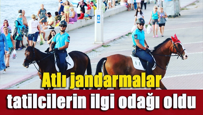 Jandarma At-Köpek Eğitimi ve Meslek Edindirme Kurs Merkez Komutanlığı (JAKEM)
