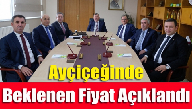 Türkiye'de üretilen yağlık ayçiçeğinin yüzde 20-30 orandaki bölümünü satın alan