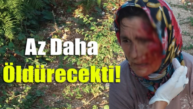 Kandıra’nın Çalköy Kışla Mahallesi’nde Müzeyyen Eşsiz adlı kadın otlattığı koçun