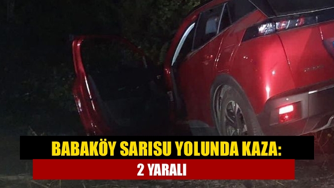 Kandıra Babaköy mevkiinde bilinmeyen bir nedenden kontrolden çıkarak ağaçlık alana